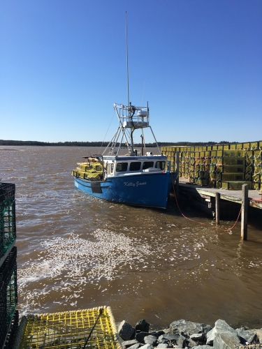 Boat Picture