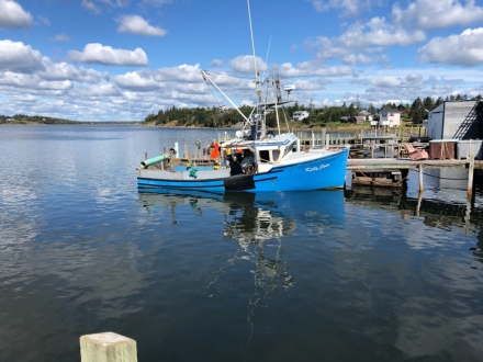 Boat Picture